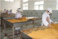 精選肉松批發(fā) 黃金松、原味、辣味、雞肉松一站式供應(yīng)，量大優(yōu)惠包郵