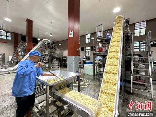 小竹筍闖出大世界 江西樂安做優(yōu)做強(qiáng)竹筍產(chǎn)業(yè)，鋪就鄉(xiāng)村致富路